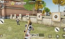 荒野奋斗最新爆料,揭秘生存挑战背后的真实故事