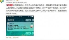 挪威回应爆料视频大全,真相与澄清